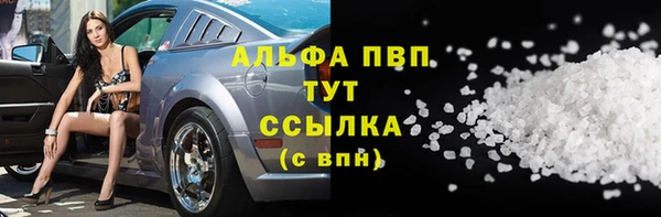 стафф Волоколамск