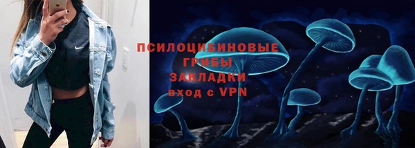 стафф Волоколамск