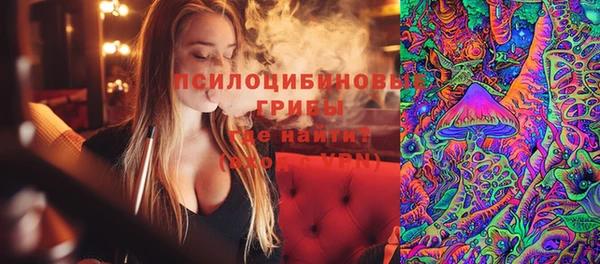 Альфа ПВП Володарск
