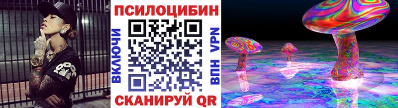 Купить  Олёкминск  Псилоцибиновые грибы Cubensis 